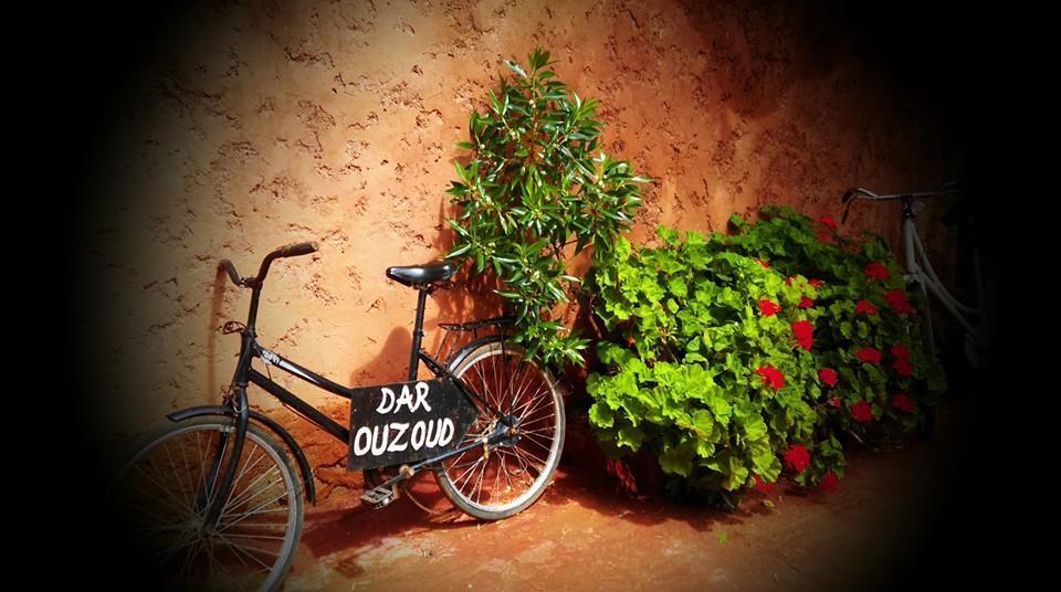 Dar Ouzoud Vegan 호텔 외부 사진